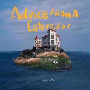 在线助理小驴导航
